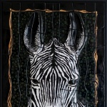 Zebra,soukromá sbírka Pardubice