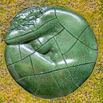 Zelený kruh